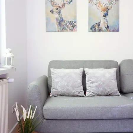 Chill & Explore By Cooee Apartment *